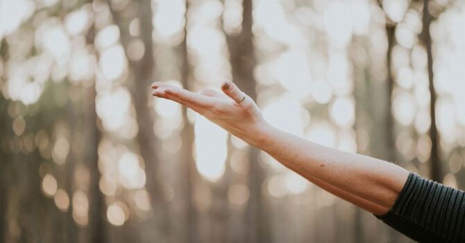 Ice Or Heat, Which Is Better When You're Hurt? image